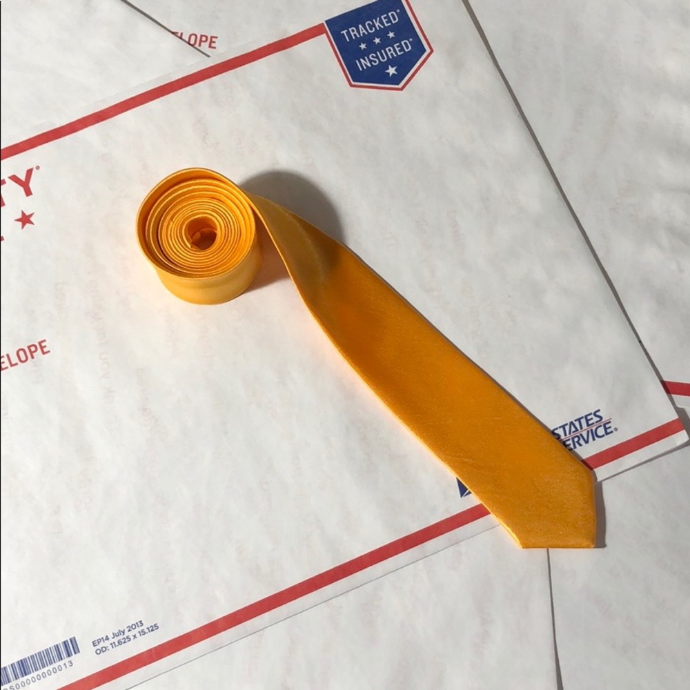🆕 Neon Orange Shiny Silk Skinny Tie